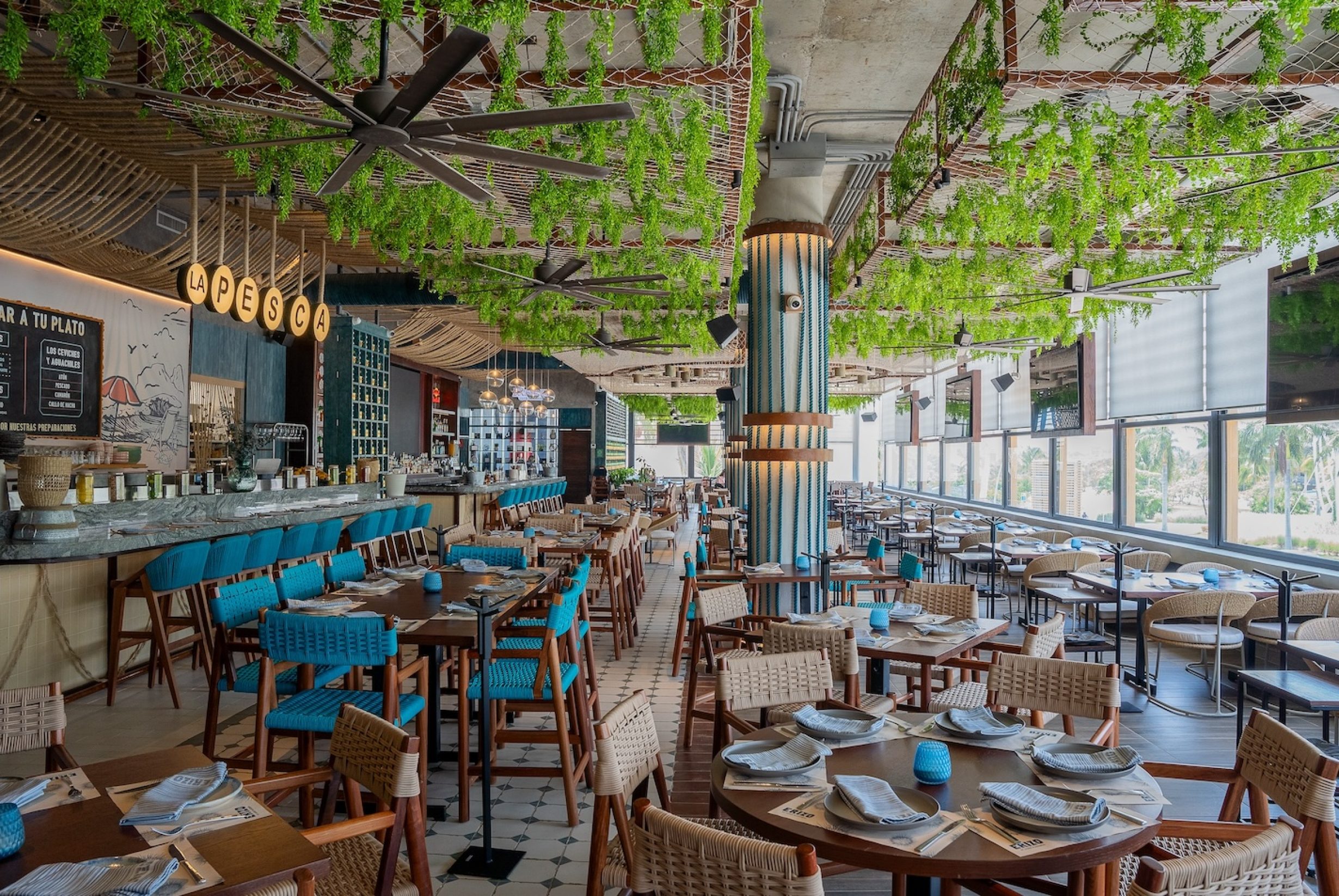 ARQUITECTURA ERIZO-2 copy