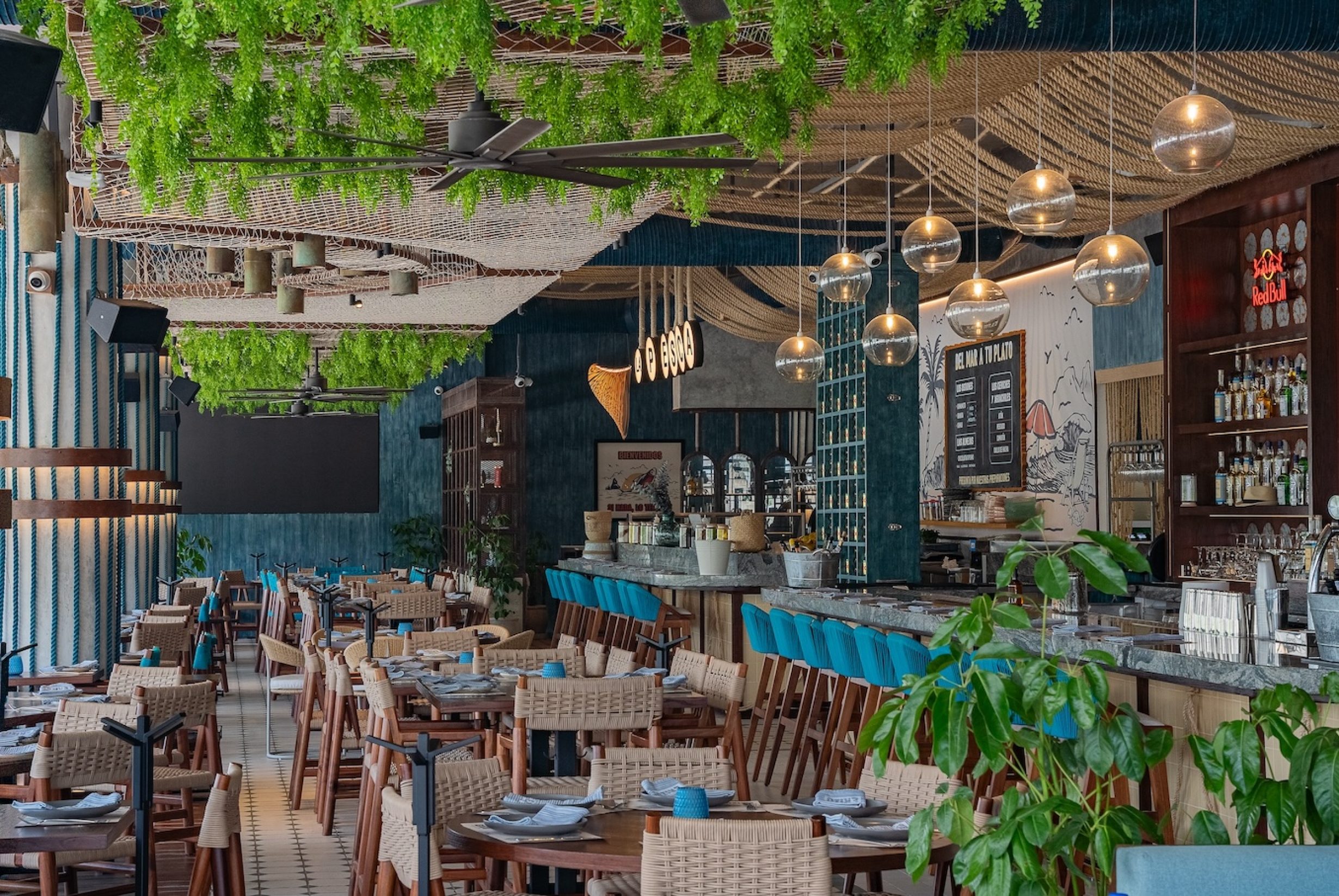 ARQUITECTURA ERIZO-4