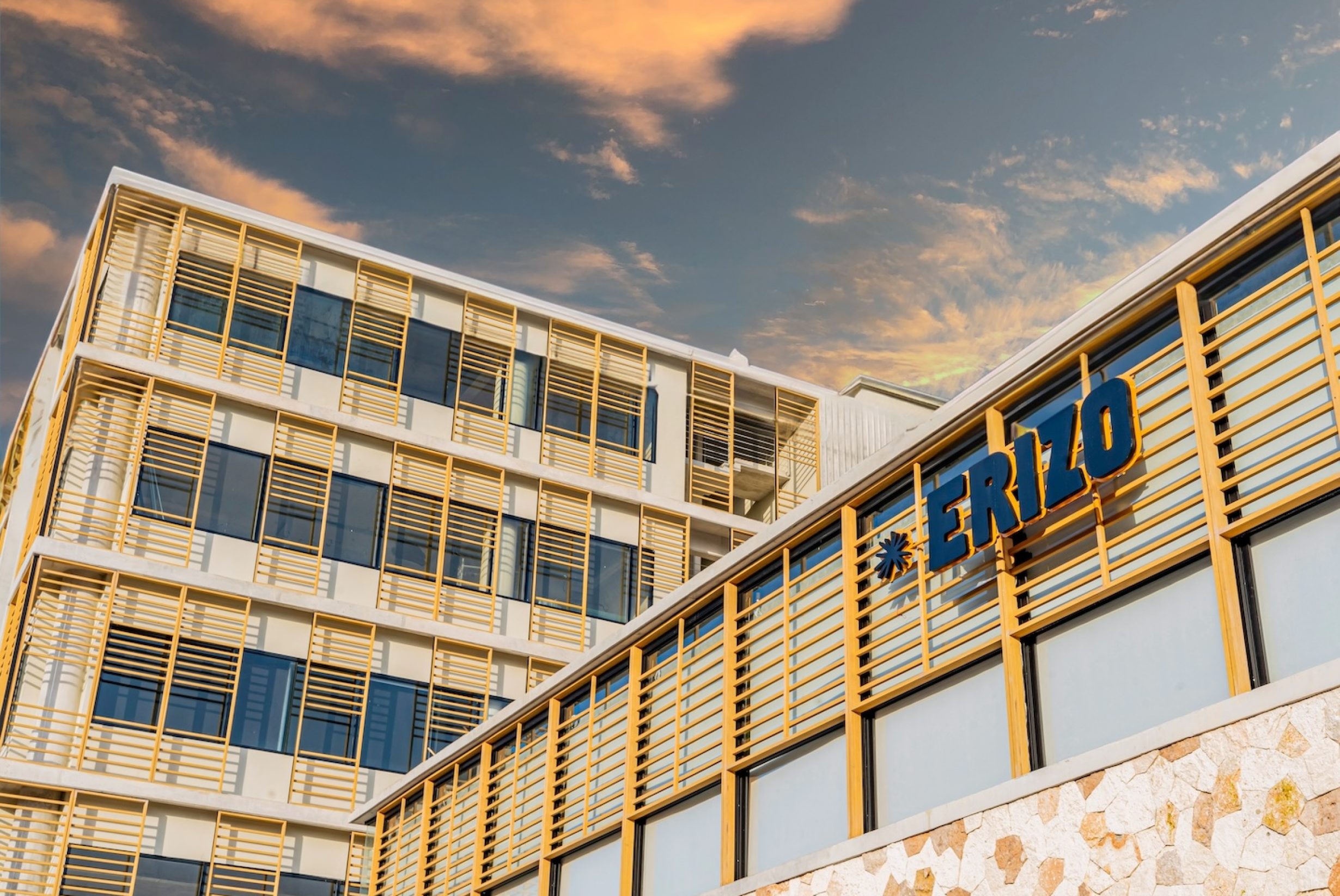 ARQUITECTURA ERIZO copy