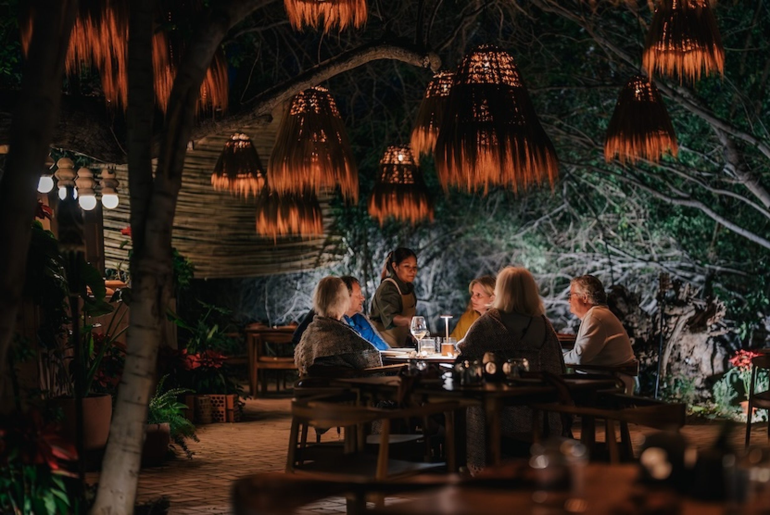 DSC09539_Semillon_January_2023-Enhanced-NR