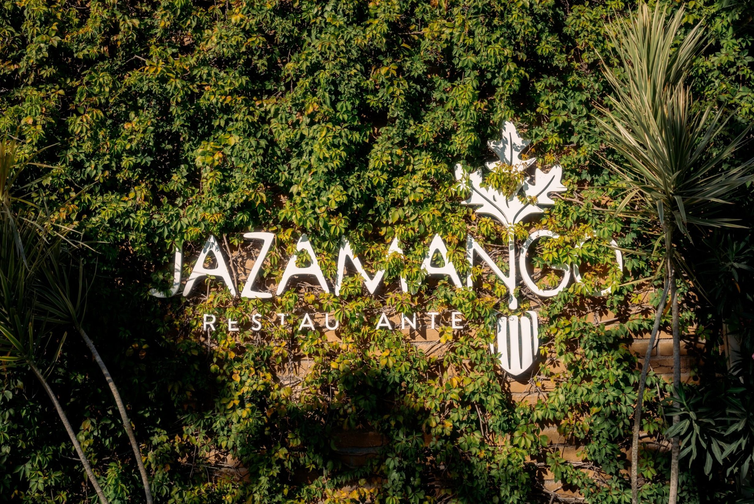 DSCF0654_Jazamango_november_2023