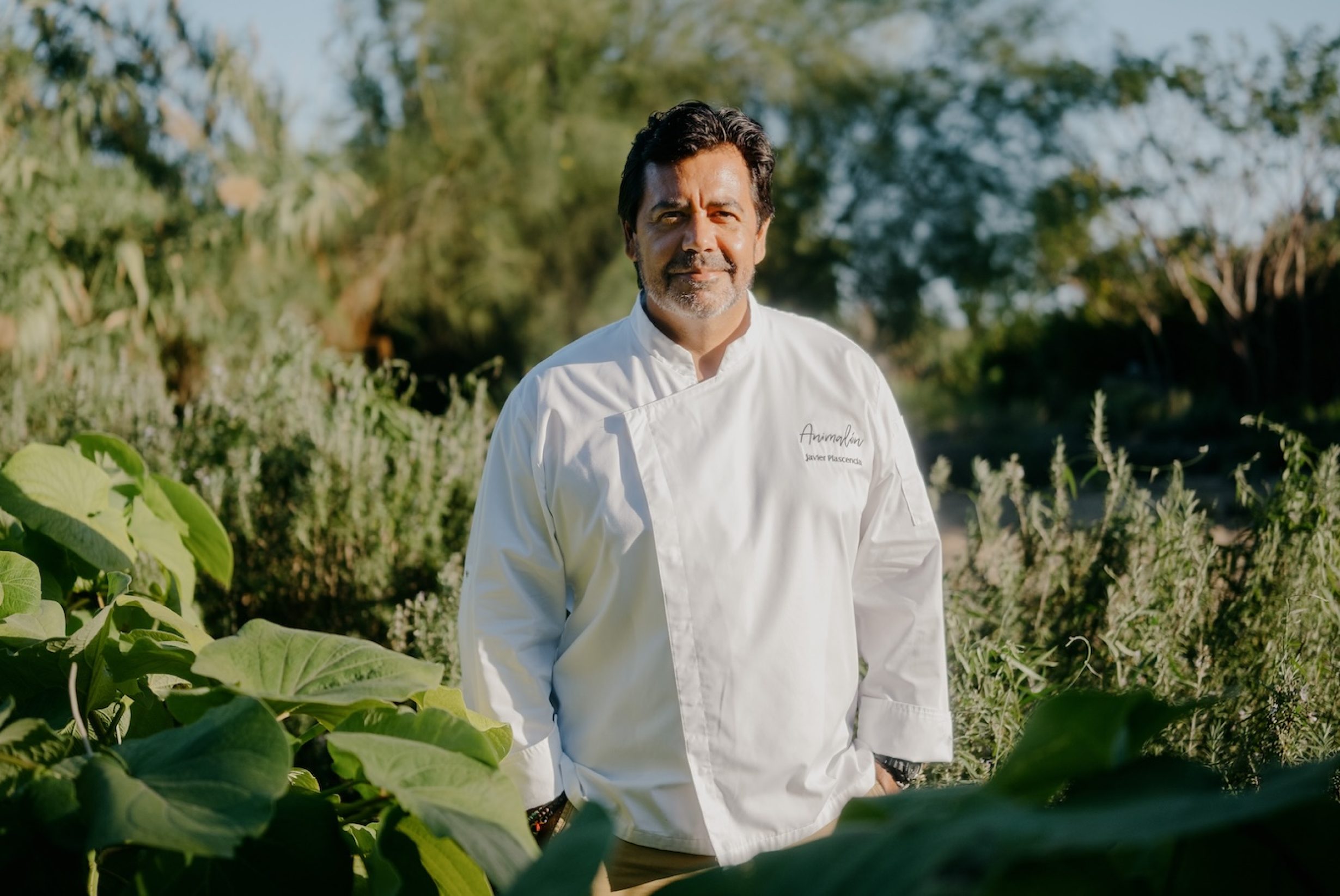 DSCF7885_Semillon_December_2023