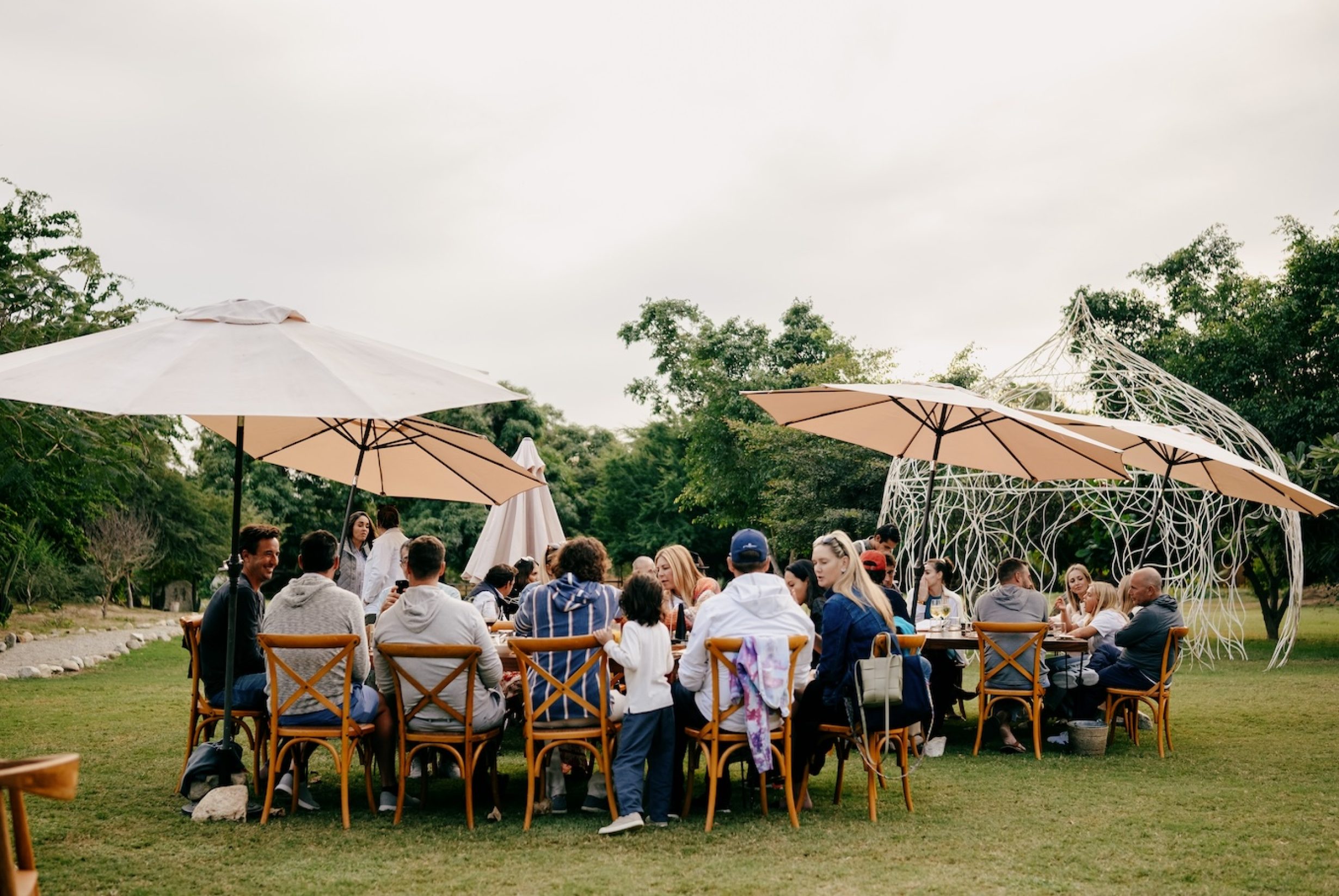 DSCF9932_Semillon_January_2023